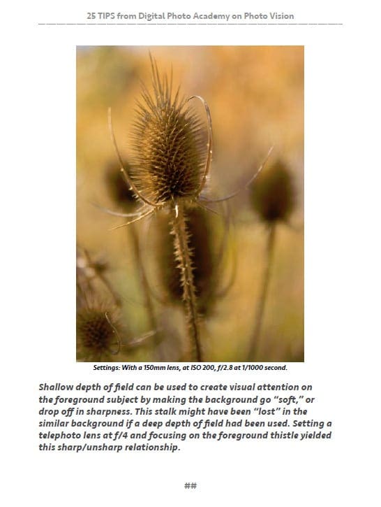 25 Tips from Digital Photo Academy on Lenses, Focusing & Depth of Field
