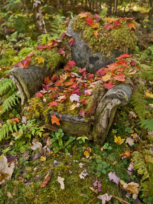 1_October_Frank_Siteman.jpg