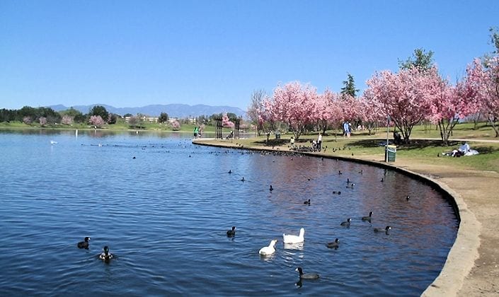 Lake Balboa Park